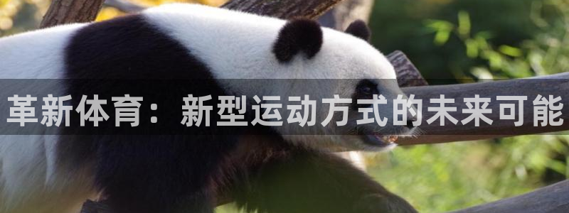 oety欧亿体育官网下载招商电话地址