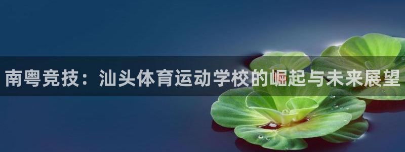 欧亿体育官方正版app娱乐首页官网下载：南粤竞技：汕