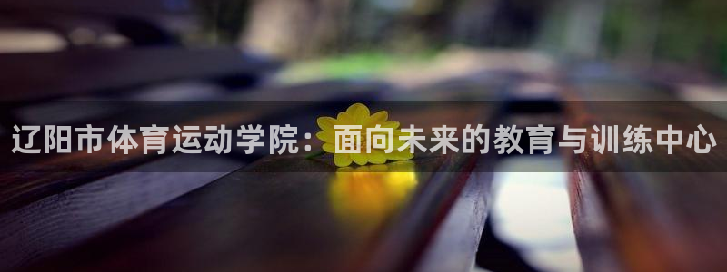 欧亿体育官方正版app娱乐代理怎么样：辽阳市体育运动