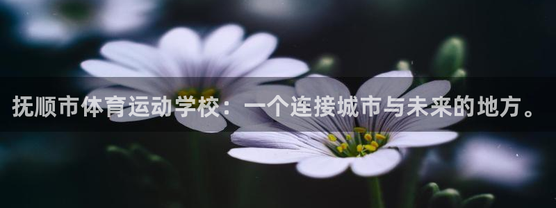 欧亿体育官方正版app集团官网首页：抚顺市体育运动学