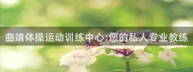 欧亿体育官方正版app代理：曲靖体操运动训练中心:您