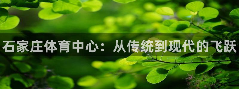 oety欧亿体育官网下载平台注册流程图：石家庄体育中