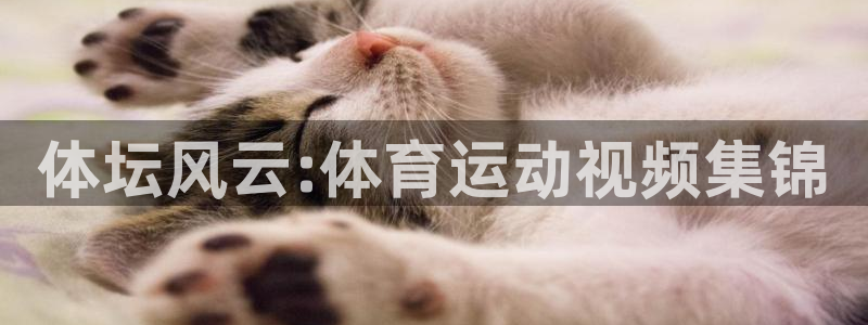 德国欧亿体育官方正版app集团：体坛风云:体育运动视