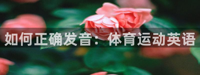 oety欧亿体育官网下载平台：如何正确发音：体育运动