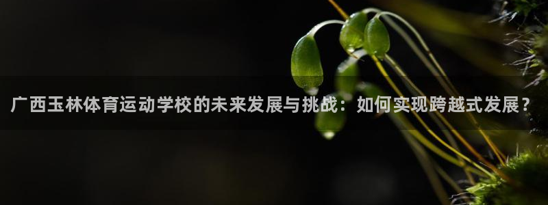 oety欧亿体育官网下载平台注册要钱吗安全吗：广西玉林体育运