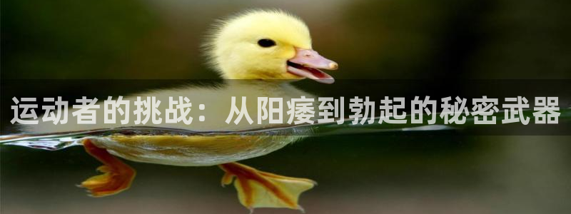 oety欧亿体育官网下载招商电话是多少：运动者的挑战