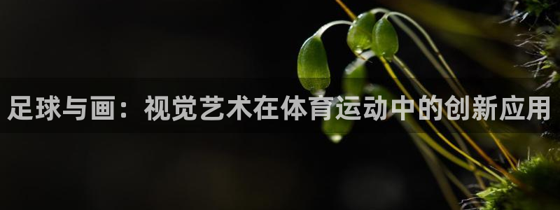 oety欧亿体育官网下载招商电话号码查询：足球与画：