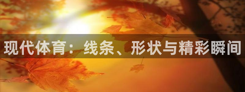 欧亿体育官方正版app五金厂：现代体育：线条、形状与精彩瞬间