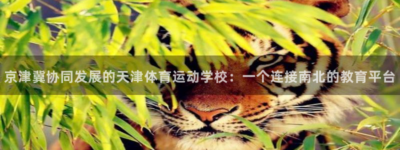 欧亿体育官方正版app代理：京津冀协同发展的天津体育