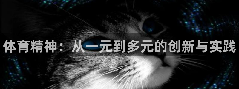 德国欧亿体育官方正版app集团：体育精神：从一元到多元的创新