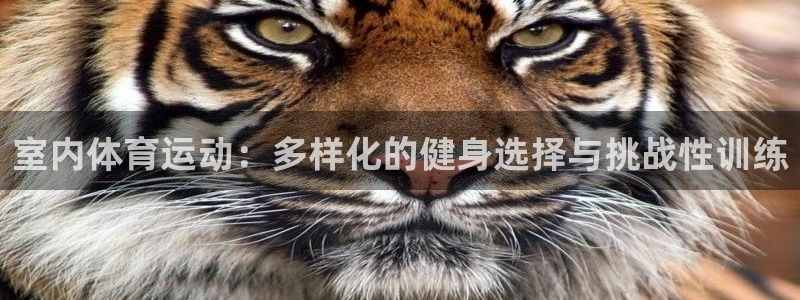 oety欧亿体育官网下载平台注册：室内体育运动：多样